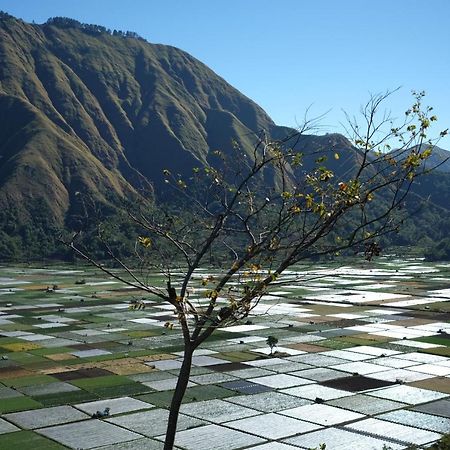Rinjani Green Park Syariah Hotel Sembalunlawang Exteriér fotografie