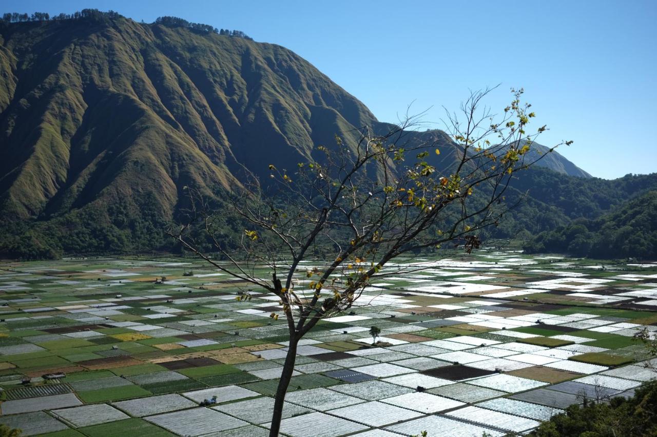 Rinjani Green Park Syariah Hotel Sembalunlawang Exteriér fotografie